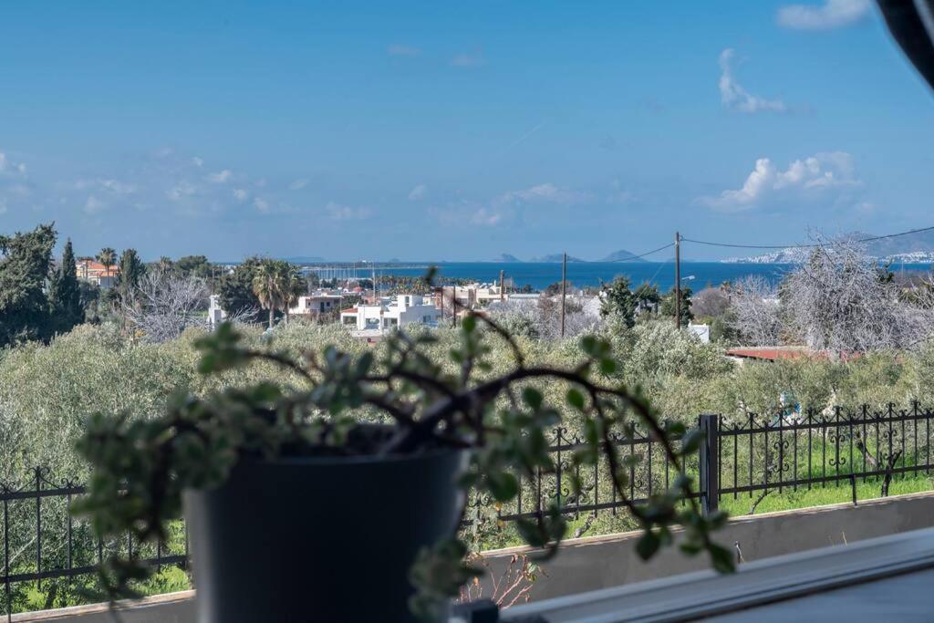 Apartment Dion House Psalidi (Kos)